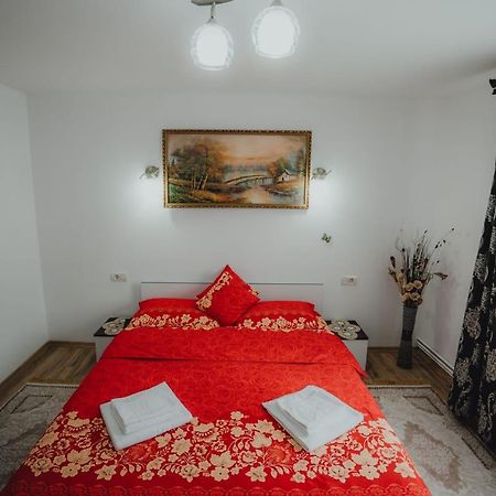 Casa Andreea Si Grigore Ursu Borşa المظهر الخارجي الصورة