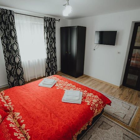 Casa Andreea Si Grigore Ursu Borşa المظهر الخارجي الصورة