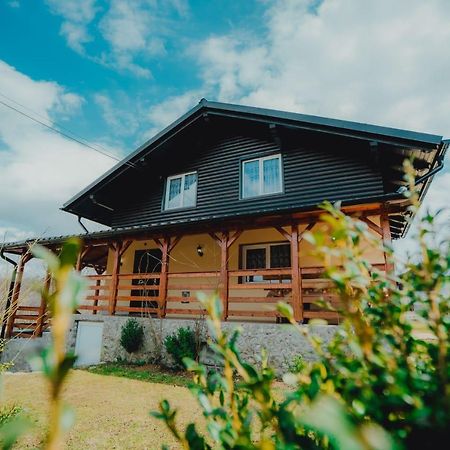 Casa Andreea Si Grigore Ursu Borşa المظهر الخارجي الصورة