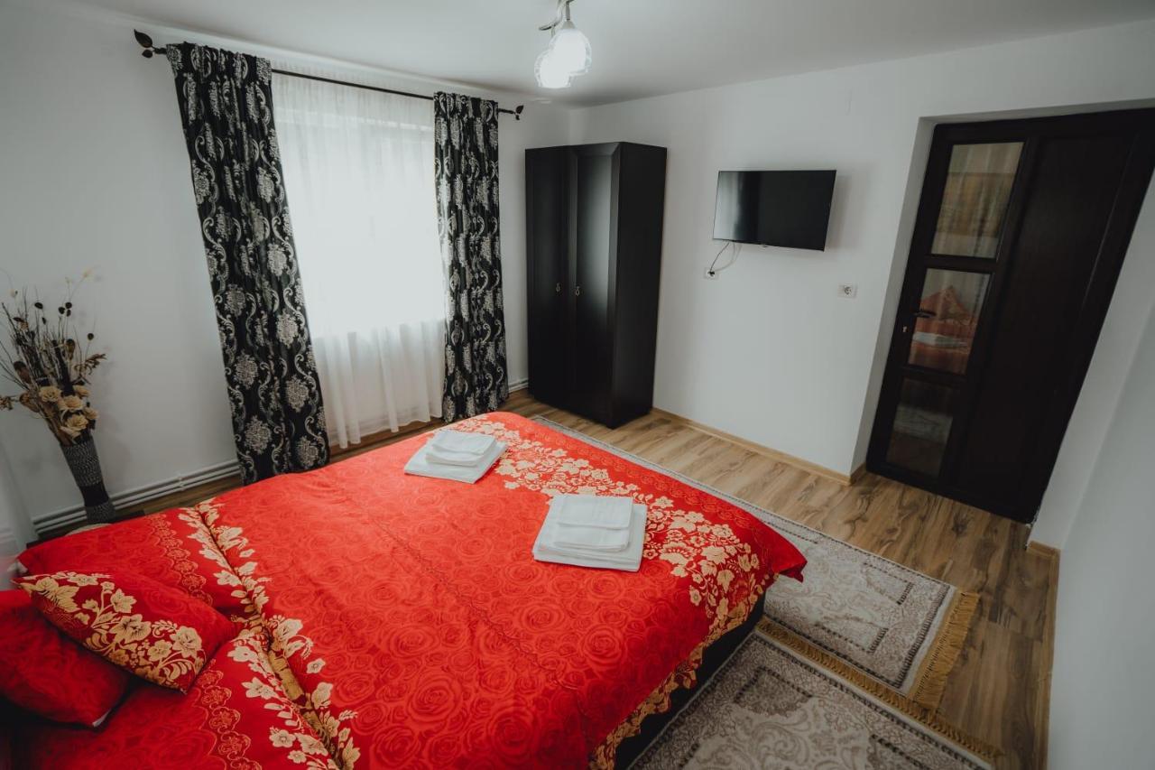 Casa Andreea Si Grigore Ursu Borşa المظهر الخارجي الصورة