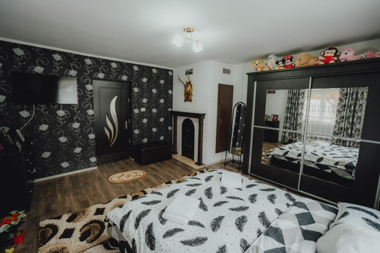 Casa Andreea Si Grigore Ursu Borşa المظهر الخارجي الصورة