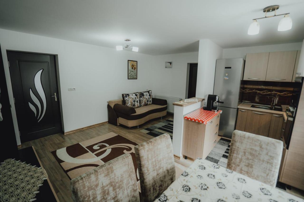 Casa Andreea Si Grigore Ursu Borşa المظهر الخارجي الصورة