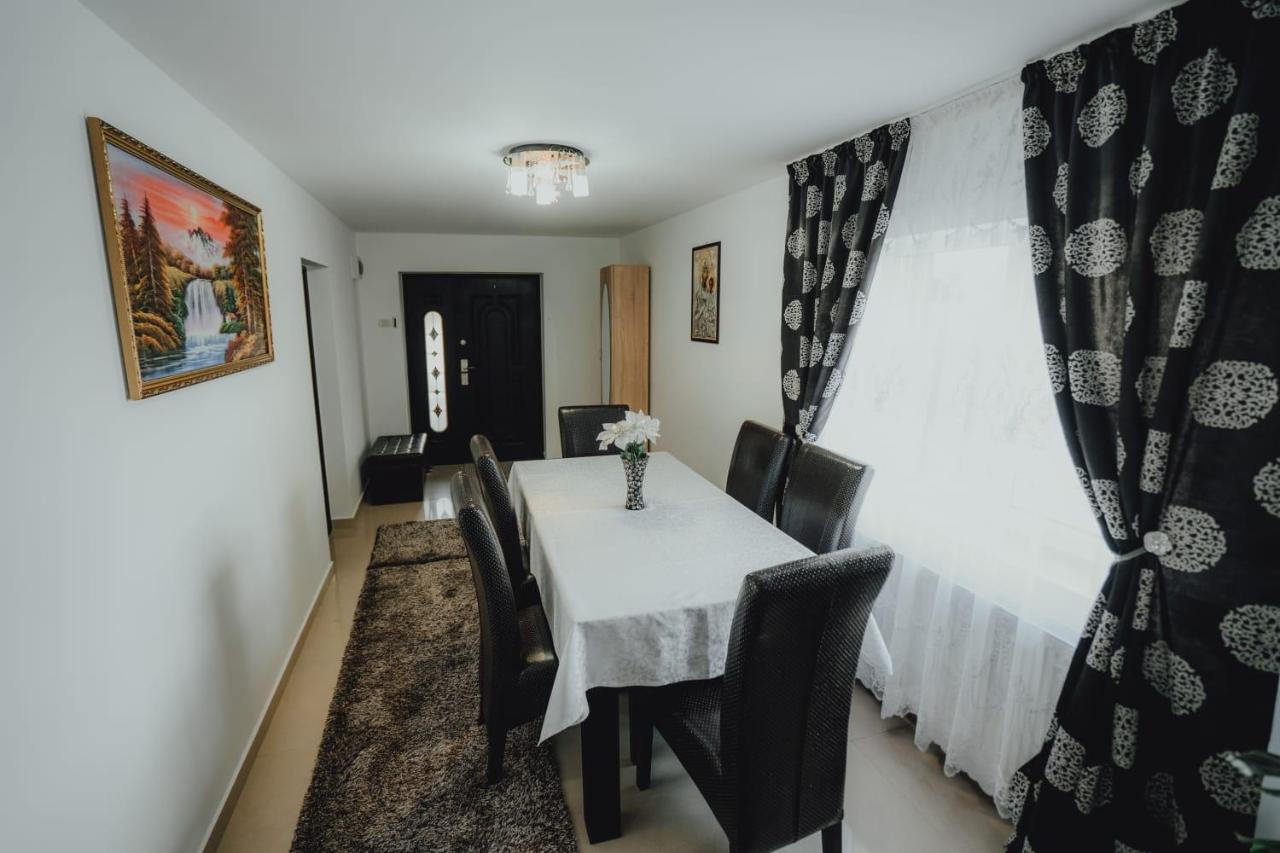 Casa Andreea Si Grigore Ursu Borşa المظهر الخارجي الصورة