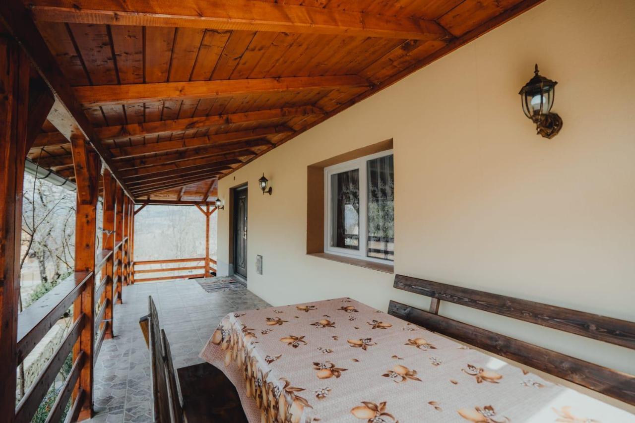 Casa Andreea Si Grigore Ursu Borşa المظهر الخارجي الصورة