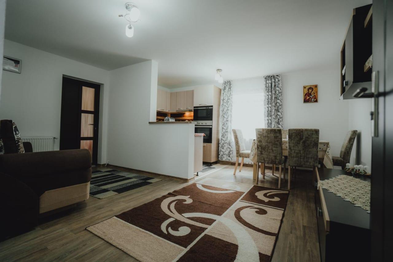 Casa Andreea Si Grigore Ursu Borşa المظهر الخارجي الصورة