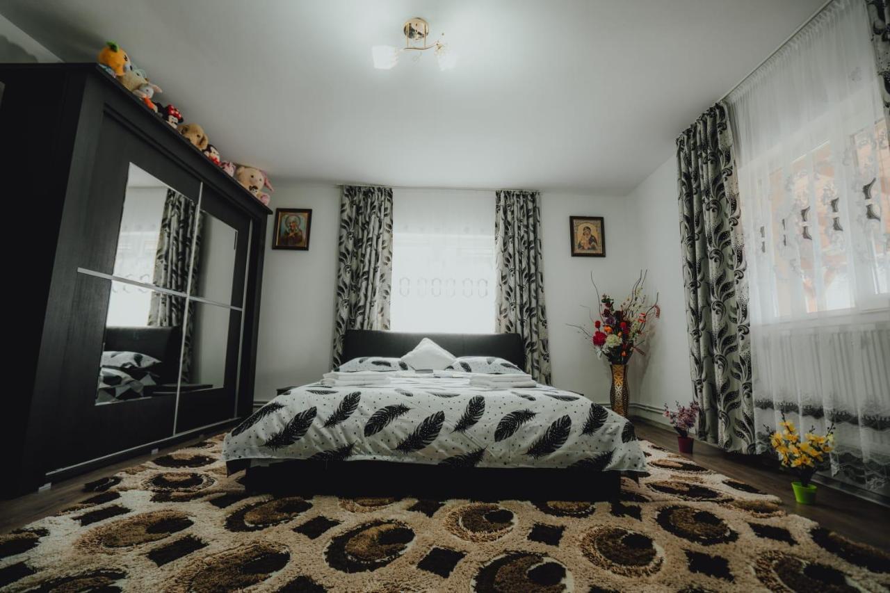 Casa Andreea Si Grigore Ursu Borşa المظهر الخارجي الصورة
