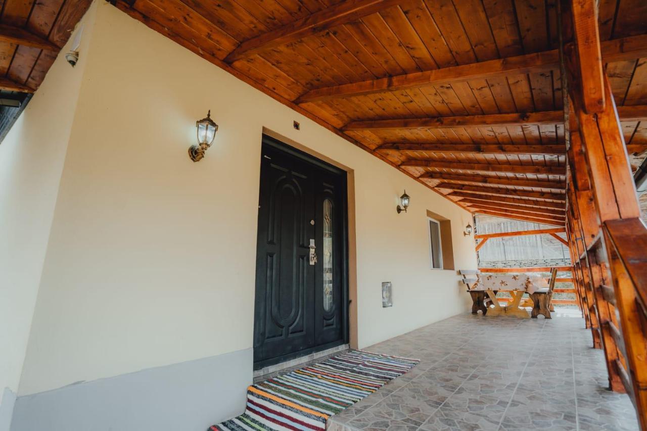 Casa Andreea Si Grigore Ursu Borşa المظهر الخارجي الصورة
