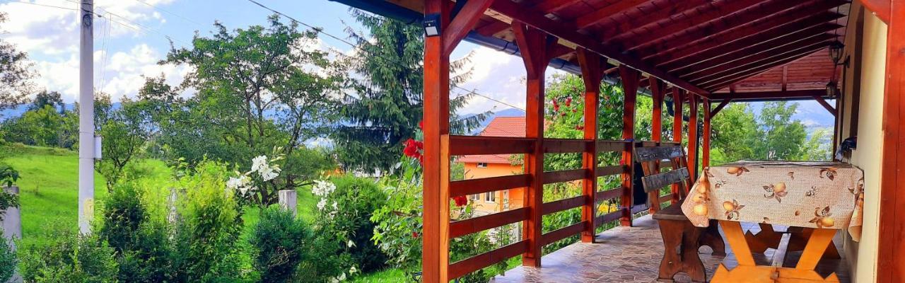 Casa Andreea Si Grigore Ursu Borşa المظهر الخارجي الصورة